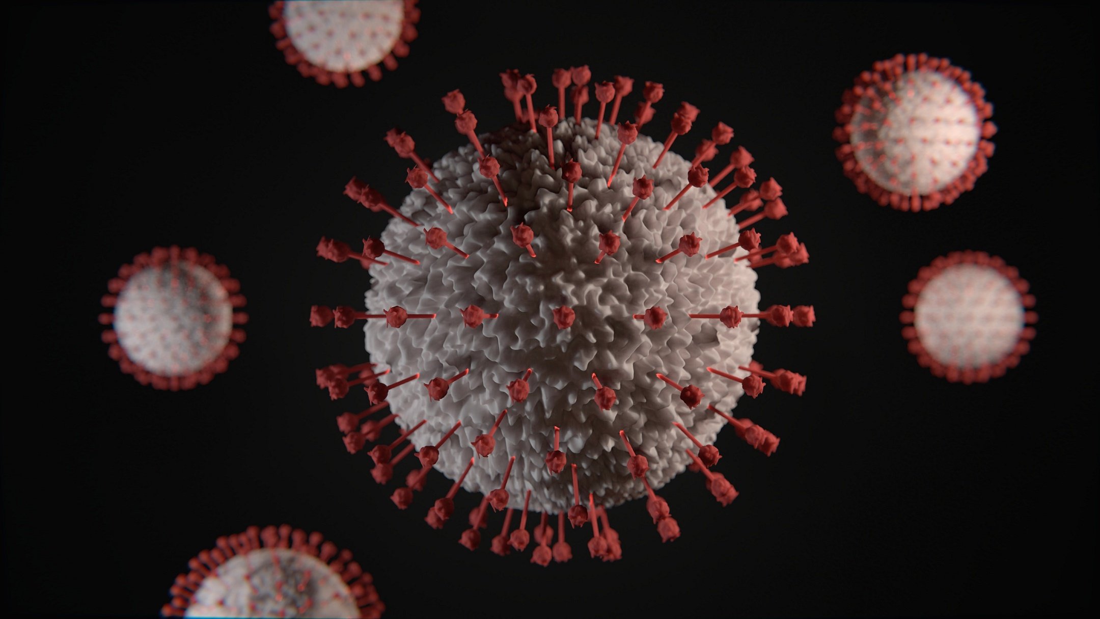 Coronaviruses against a black background